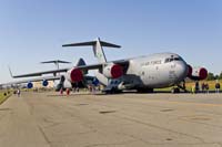Static Displays 01