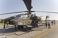 Static Displays 09